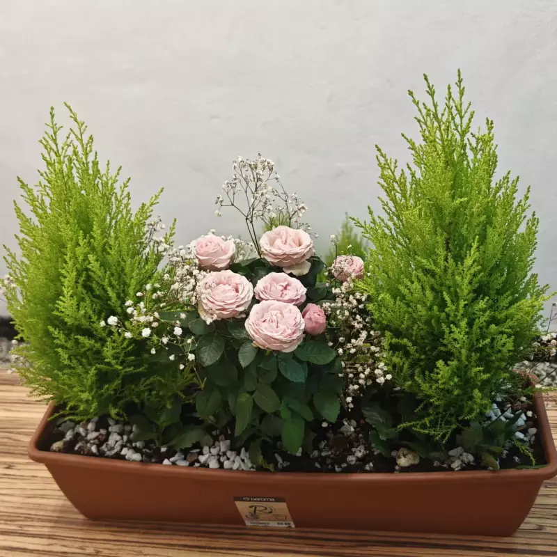 Centro de plantas fúnebres