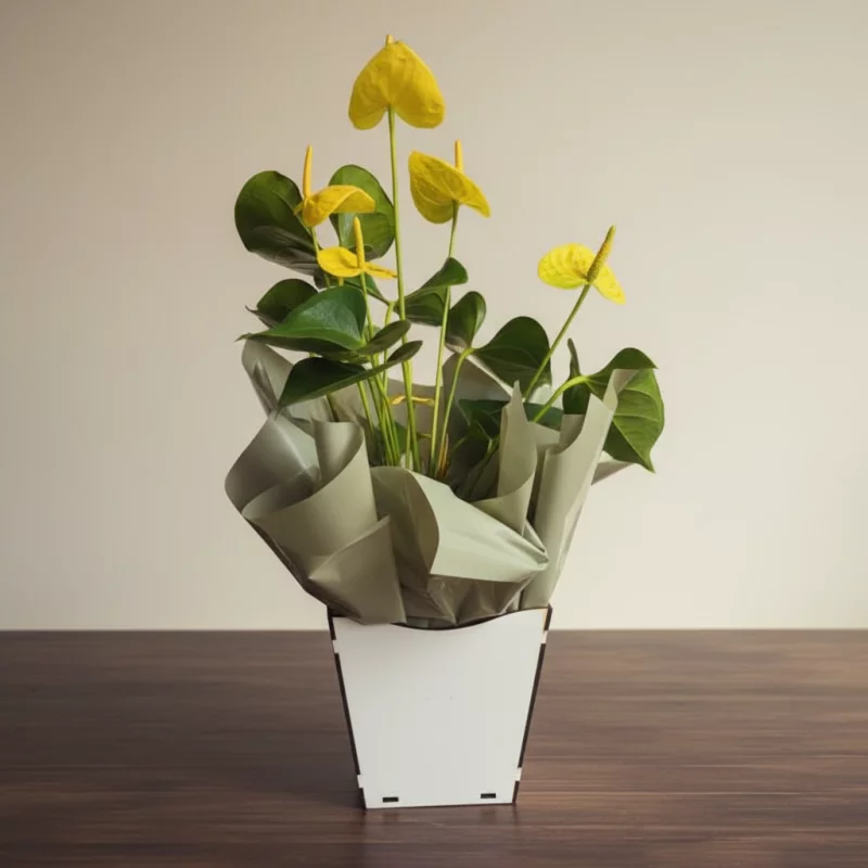 Anturio Amarelo
