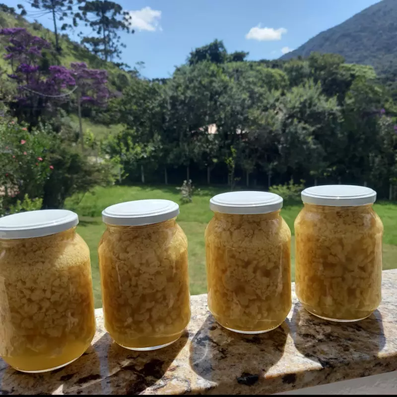 Ambrosia Casaria pote 680G