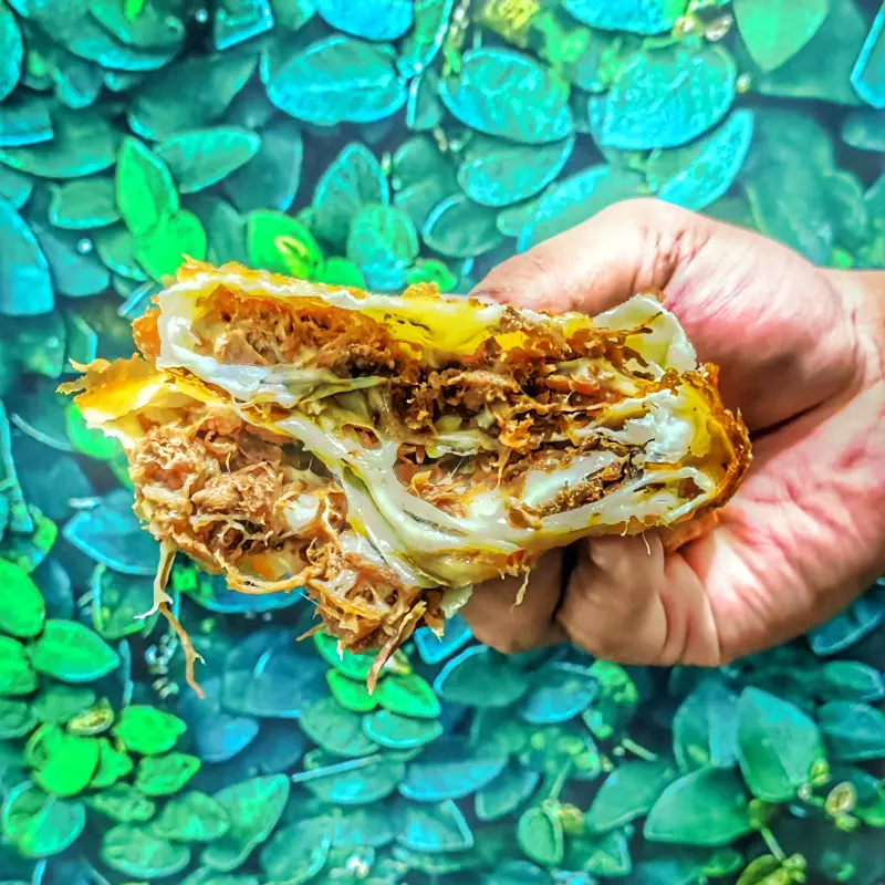 Pastel  de Costela c/ mussarela