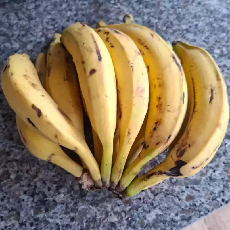 Banana da Terra (Ivonete)