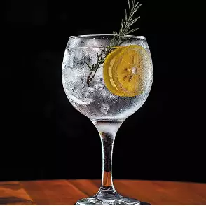GIN TÔNICA