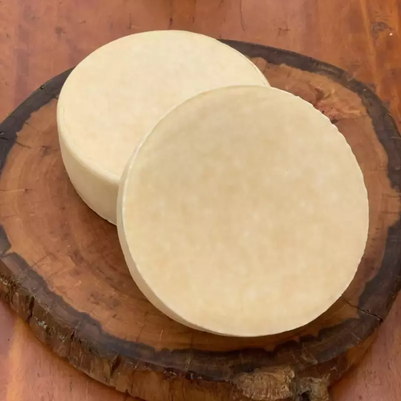 PARMESÃO FRESCO 450G