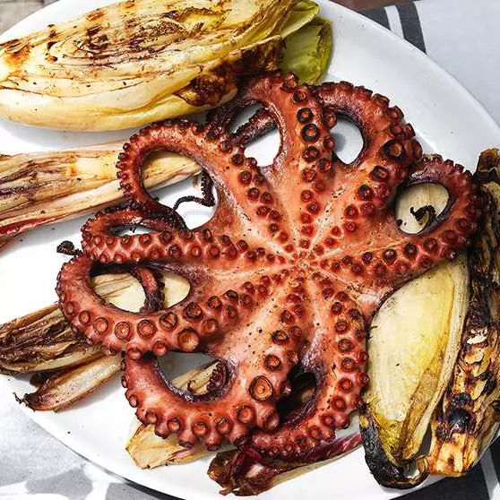 Polvo Sem Cabeça  M Drenado