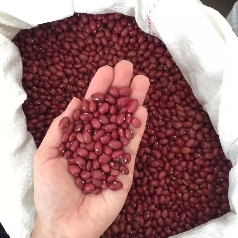 Feijão da Roça Vermelho - 500g