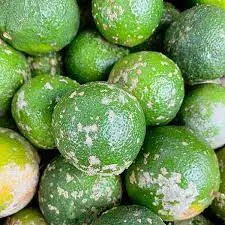 LIMON MANDARINO UNIDAD