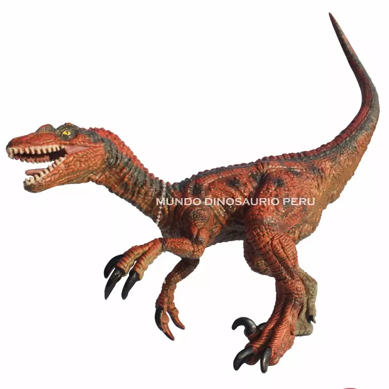 Velociraptor ECO