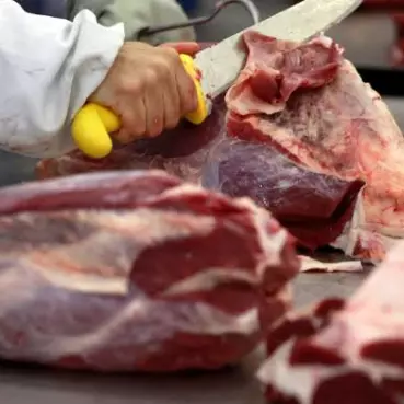 ALCATRA DE CARNE BOVINA KG