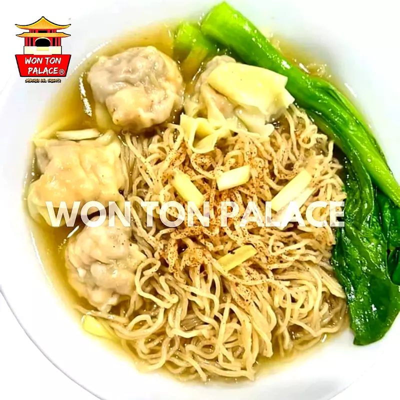 SOPA LO MEIN (FIDEOS) Y WONTON