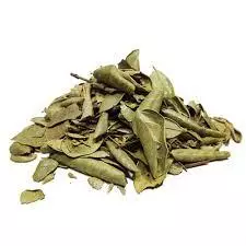 Boldo 100gr