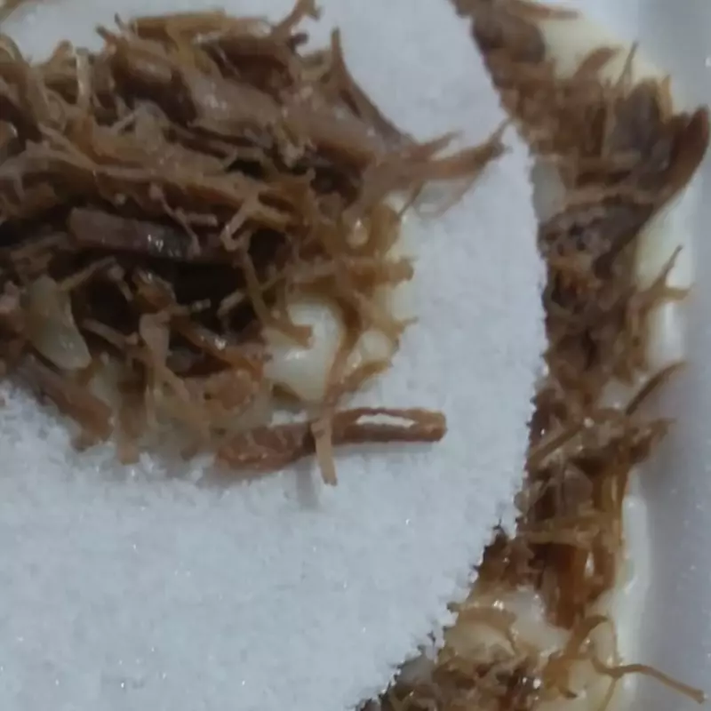 CARNE DE SOL COM PURÊ  DE MACAXEIRA