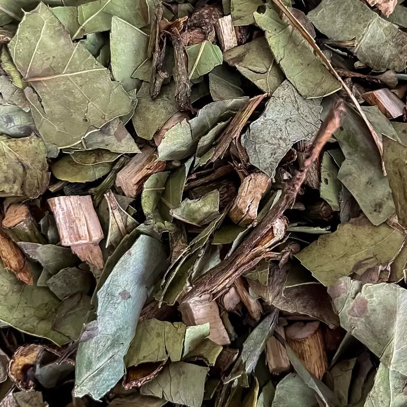 CHÁ VERDE