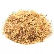 Unha de Gato em casca
