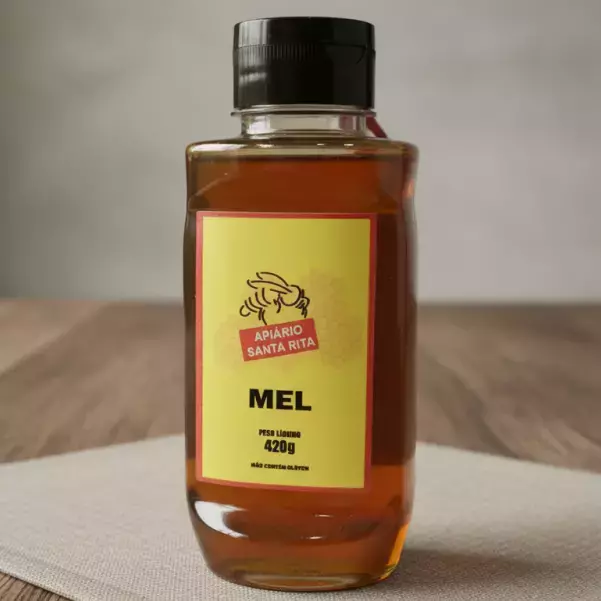 Mel Apiário Santa Rita