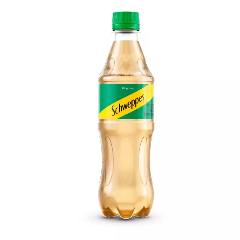 Gaseosa Ginger Ale