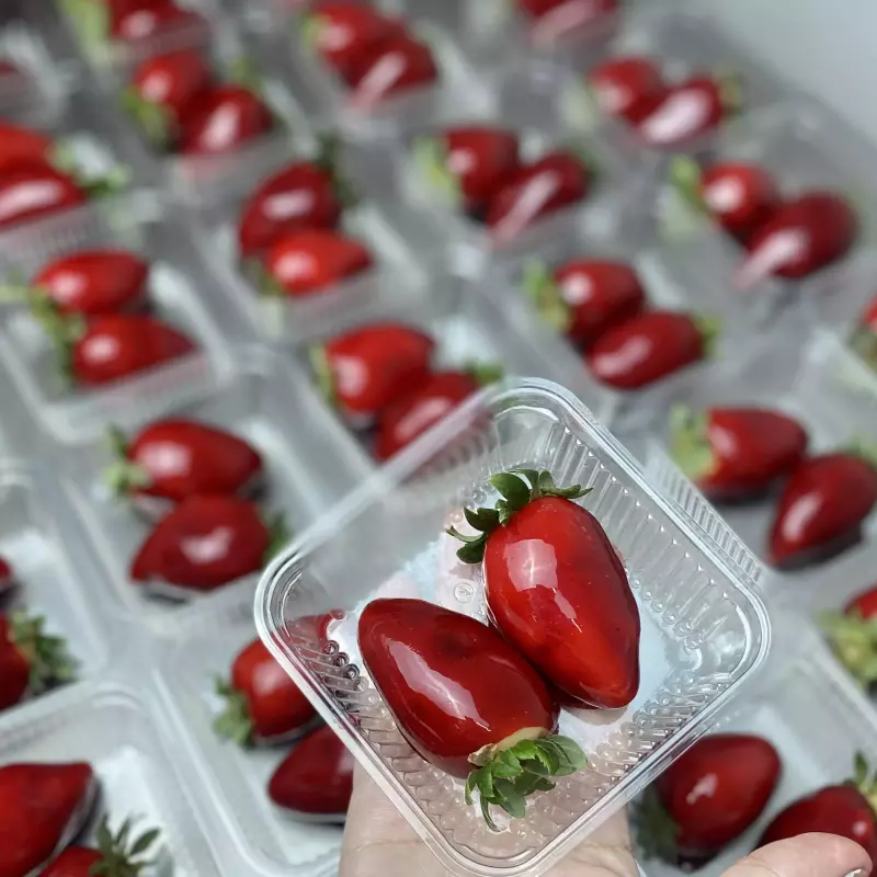 Dupla de morango do amor