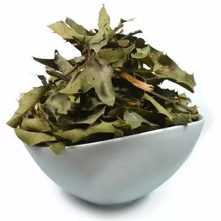 Chá de Espinheira Santa