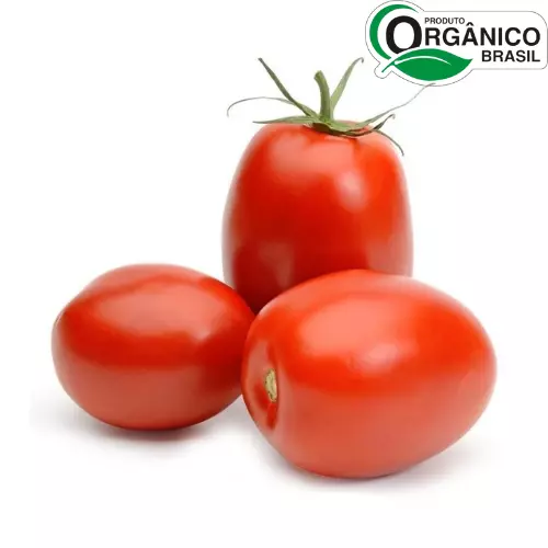 Tomate Orgânico