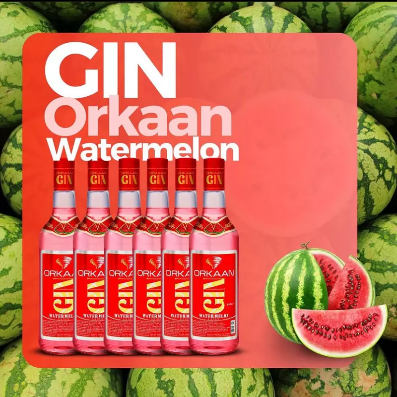 COMBO DE GIN ORKAAN C/BALY