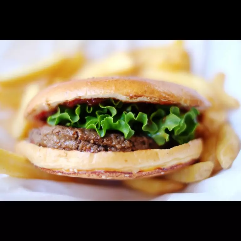 X - Burguer