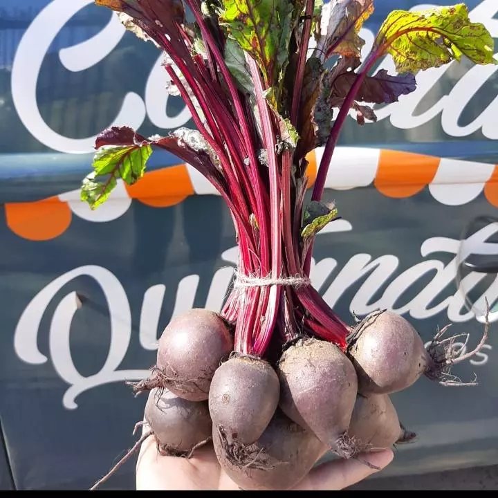 Beterraba - maço