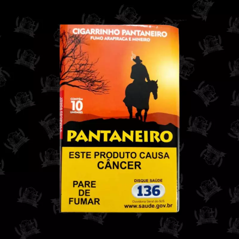 Palheiro Pantaneiro Tradicional