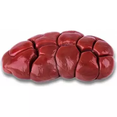 Riñones