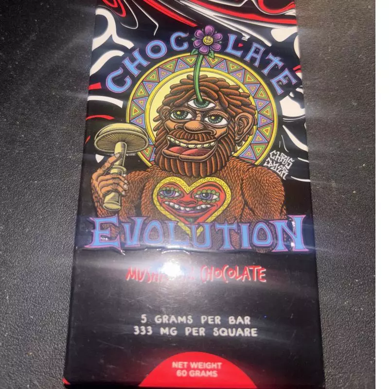 Chocolate evolution: mushroom bars