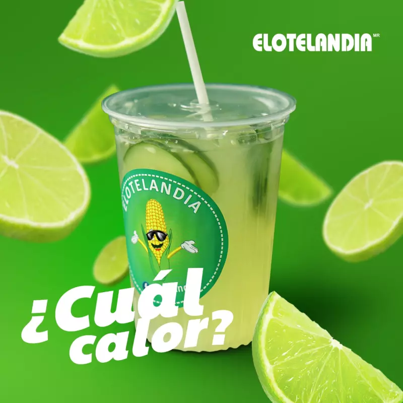 Agua de limon (500ml)