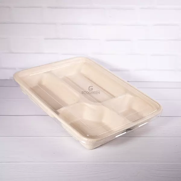 Bio Bento Box pulpa ECOGREEN