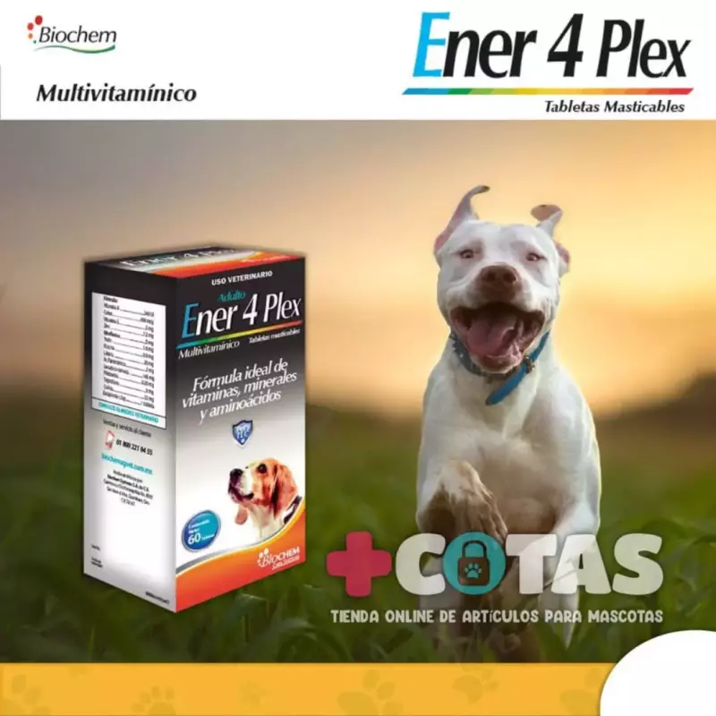 ENER 4 PLEX ADULTO