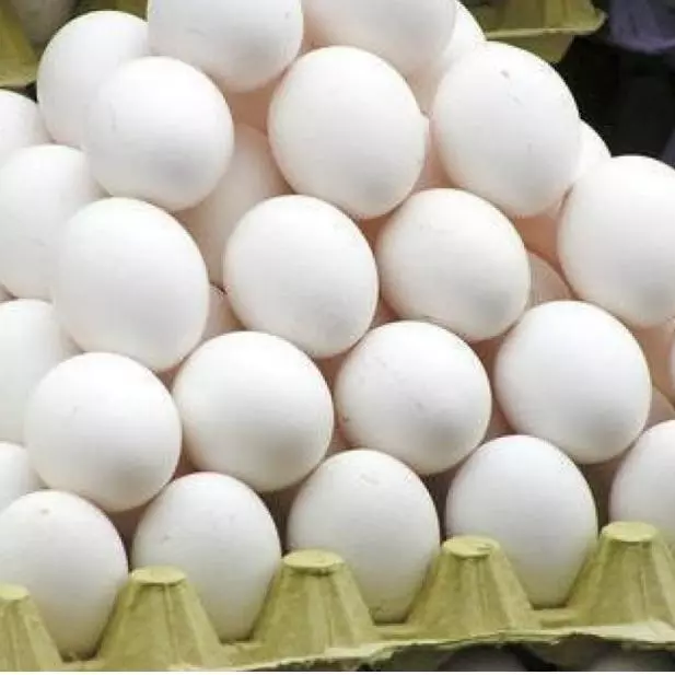 Huevo 1-kilo