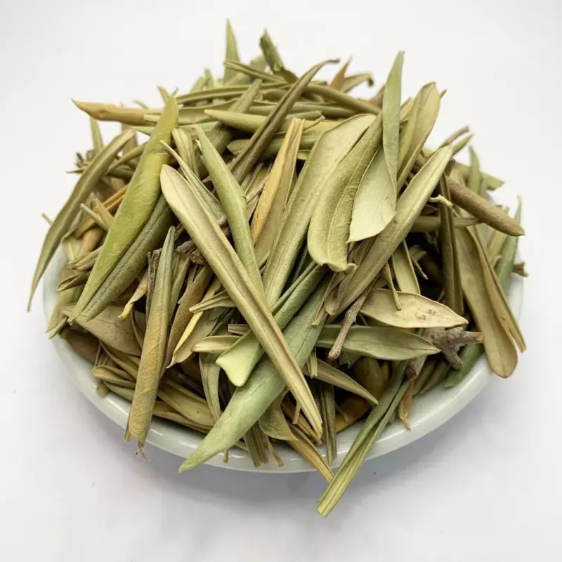Oliveira Folhas 100g