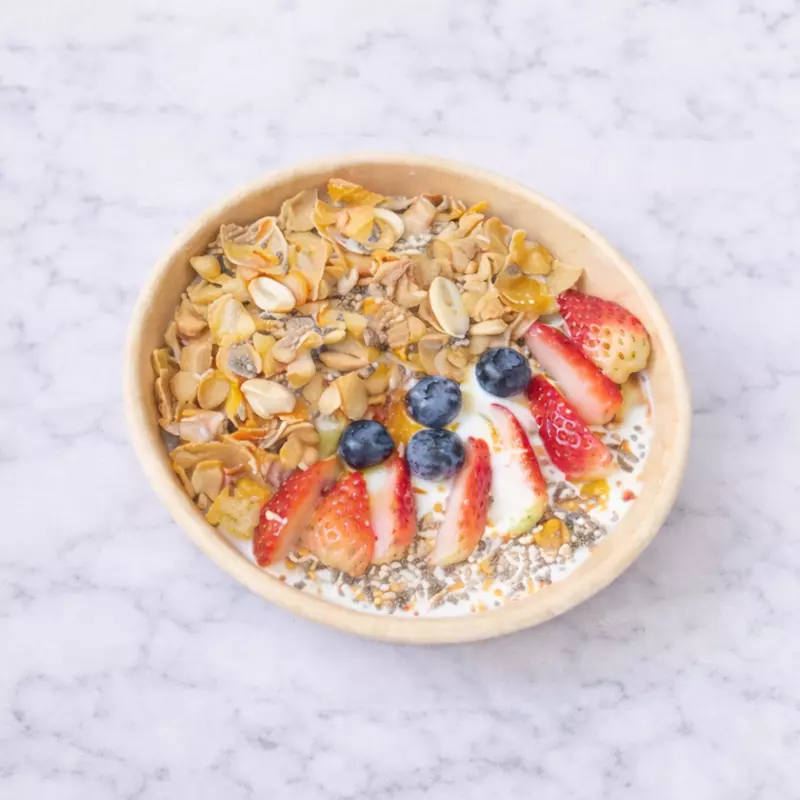 Alma Blanca Bowl 16 oz