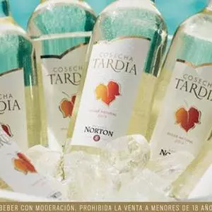 Copa Vino Blanco Dulce