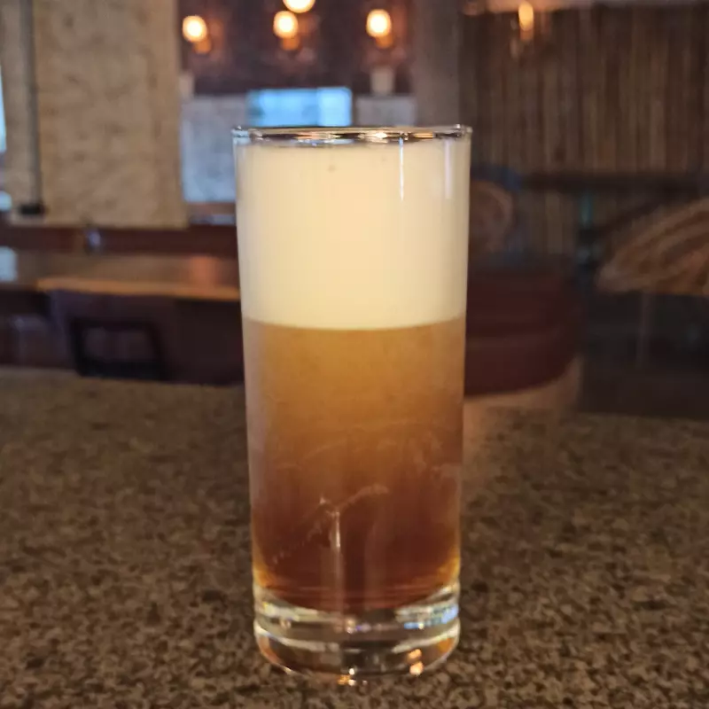 CHÁ MATE GELADO | ICED MATTE TEA