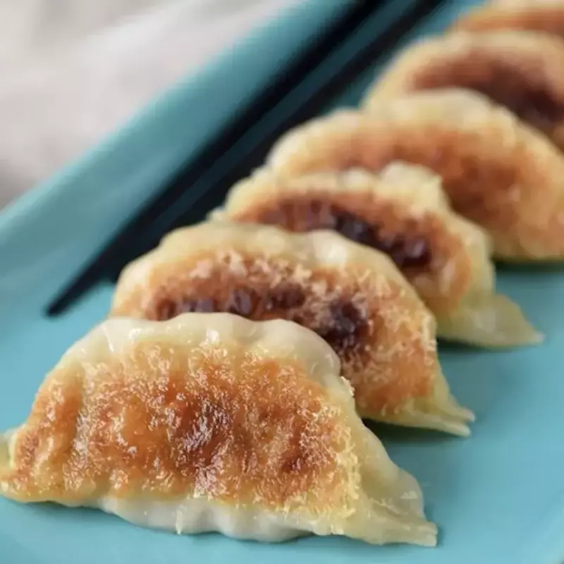 Gyozas caseras a la Plancha