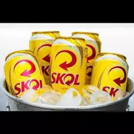 BALDE DE SKOL LATA 350ML 8UND
