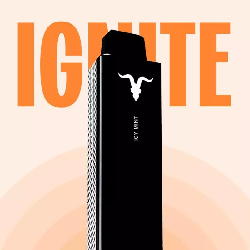 IGNITE V6 | 600 PUFFS 💨