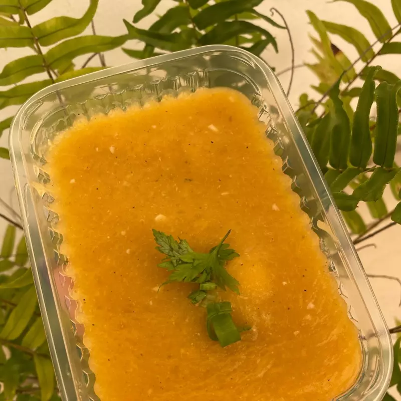 CREME DE ABÓBORA COM FRANGO 300G