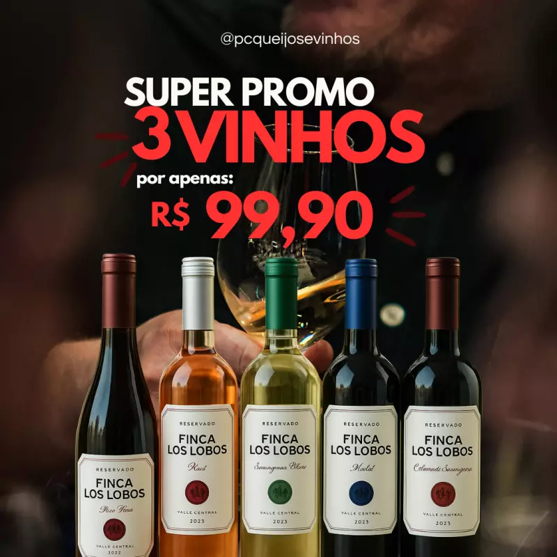 PROMOÇÃO VINHO