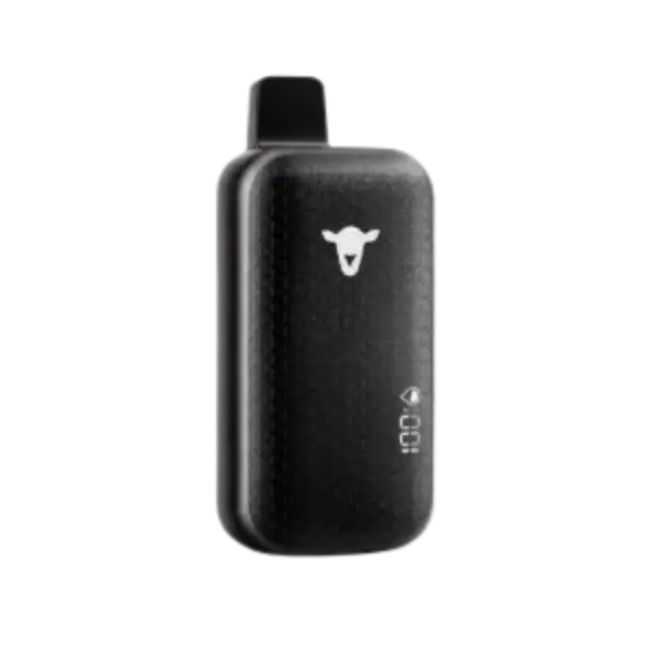 THE BLACK SHEEP 25K