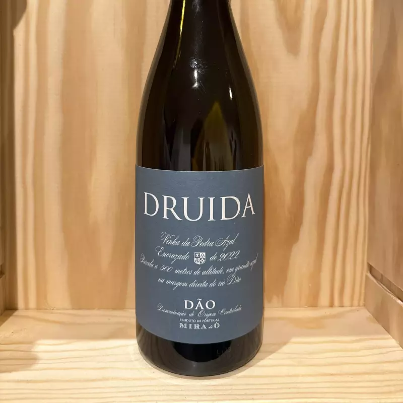 Druida Vinha da Pedra Azul 2022
