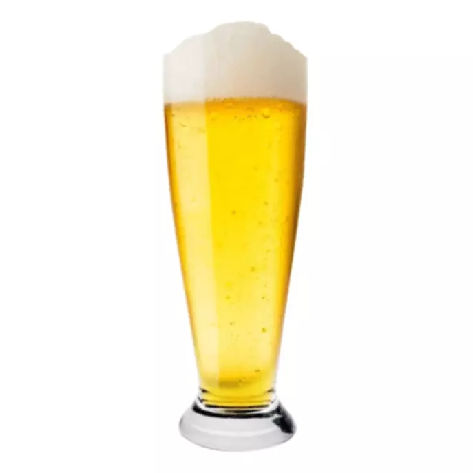 Tulipa de Chopp