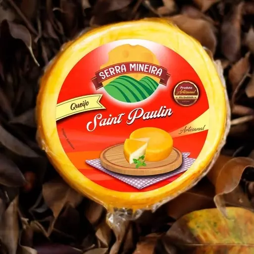 QUEIJO SAINT PAULIN 450G