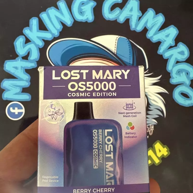 LostM Berry Cherry 🫐🍒