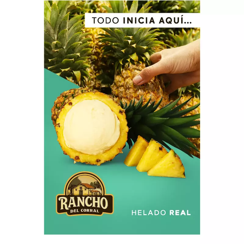 🍍 Nieve de Piña en Media Cáscara