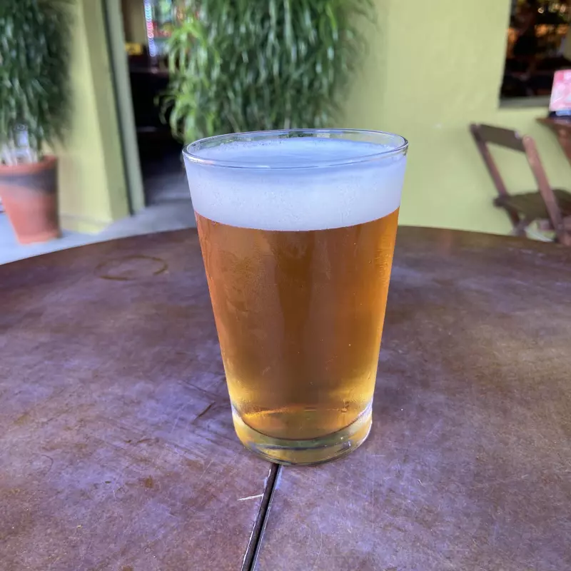 Chopp Servus Gold