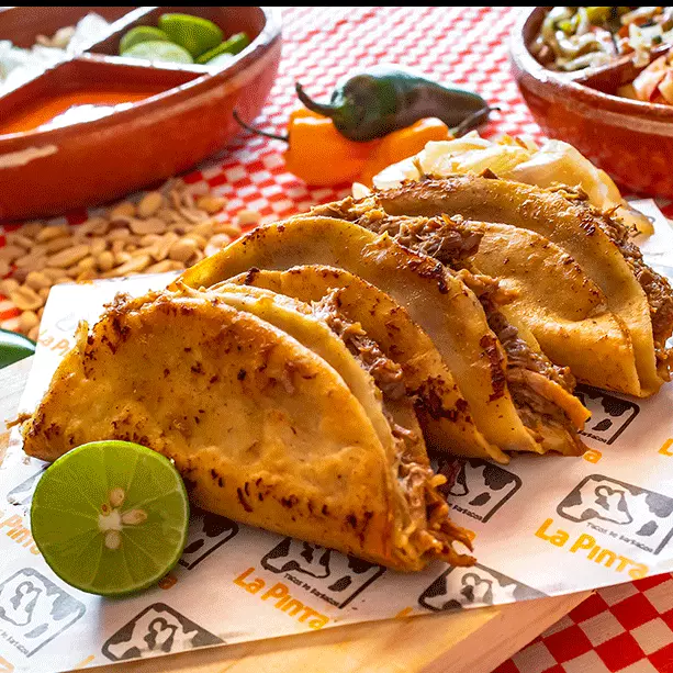 Taco de barbacoa dorado😉