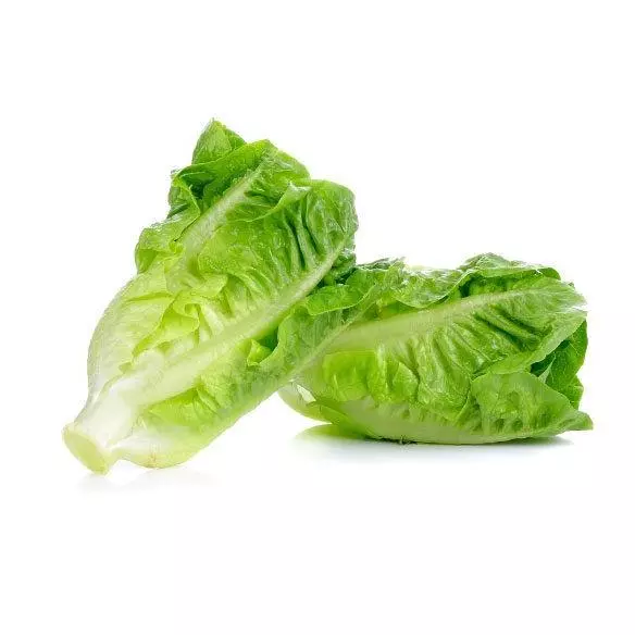 Cogollo Europeo Unidad x 450gr